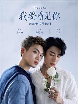 我要看见你 2026 电视剧 海报