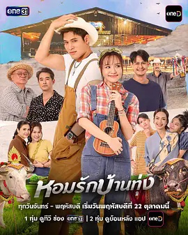 田园恋曲 2026 电视剧 海报